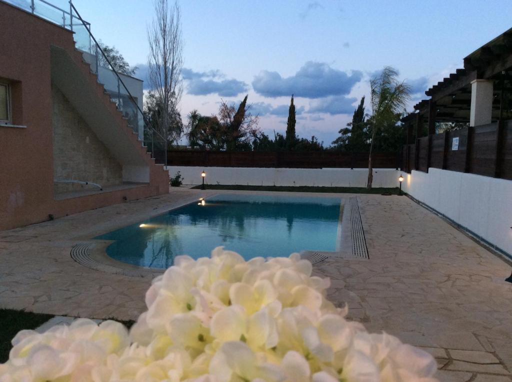 Полис Хрисохус: Dream House Latchi Villa