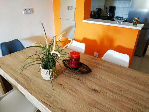 Киссонерга: Kissonerga Apartment
