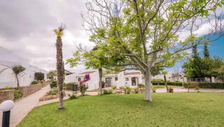 Озанкей: The Olive Tree Hotel