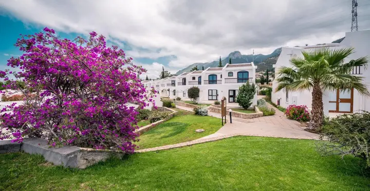 Озанкей: The Olive Tree Hotel