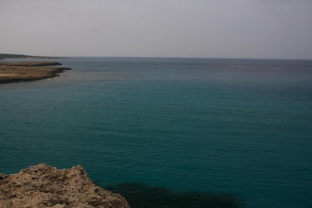 Пафос: Paphos Love Nest Apartment