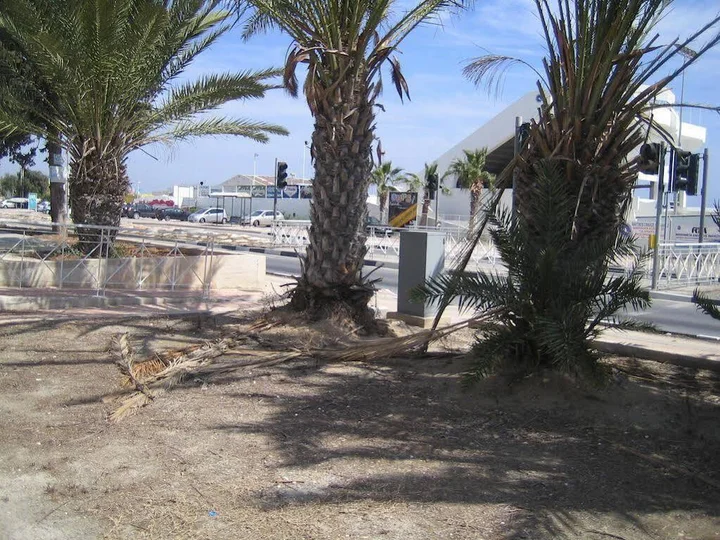 Ларнака: Maisonette Yacht Club