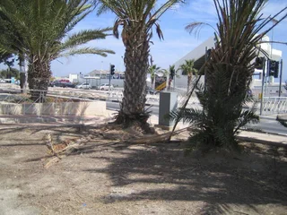 Ларнака: Maisonette Yacht Club
