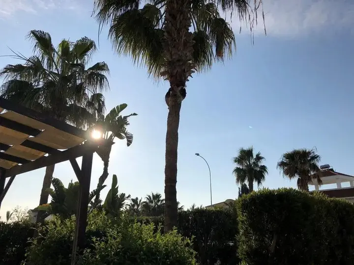 Айя-Напа: Yolanda Holiday Villa