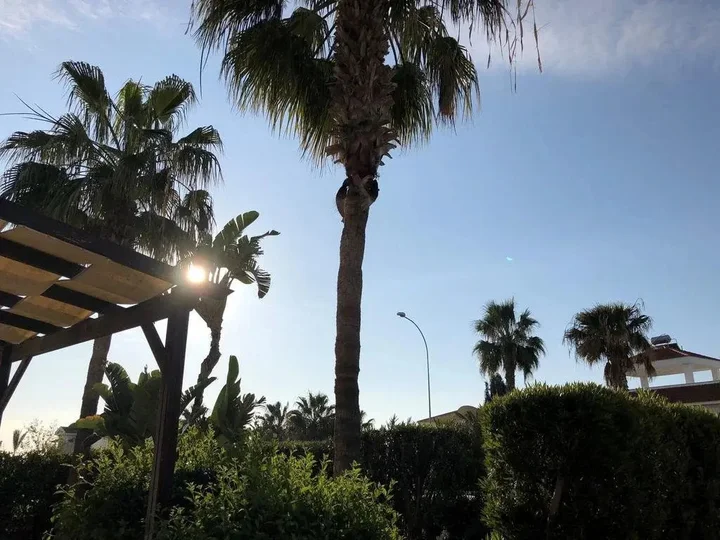 Айя-Напа: Yolanda Holiday Villa