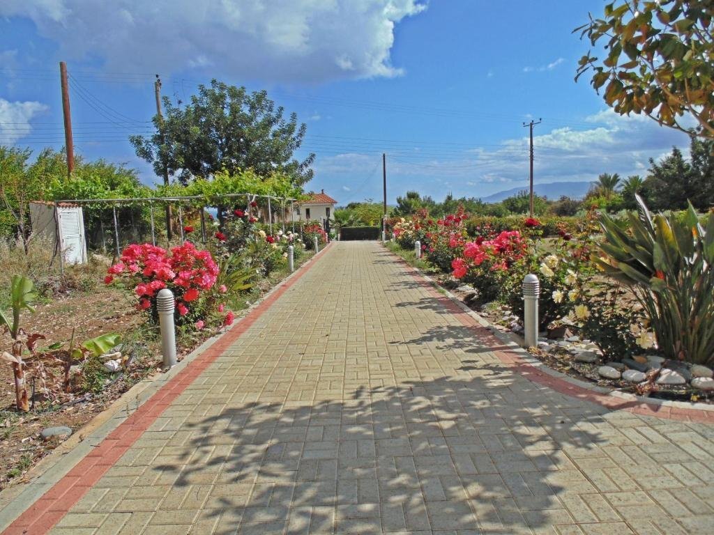 Eliofos Luxury Villa — фото 5