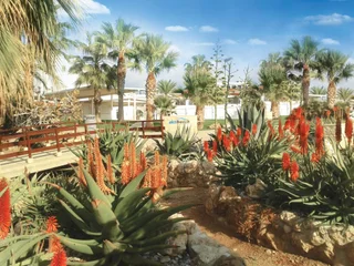 Хлорака: Akti Beach Village Resort