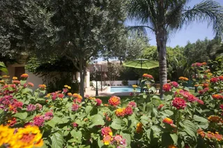 Ороклини: Reginas Exclusive Villas