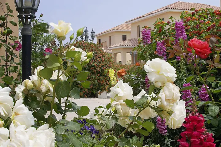 Ороклини: Reginas Exclusive Villas