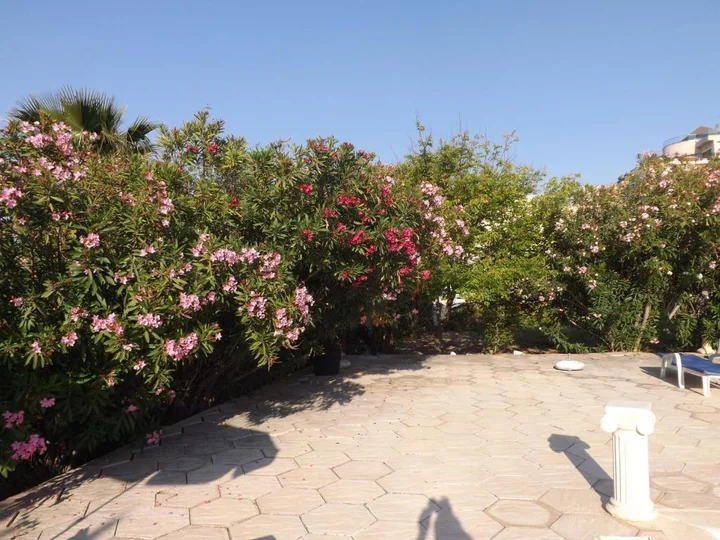 Озанкей: Paradise Holiday Bungalows