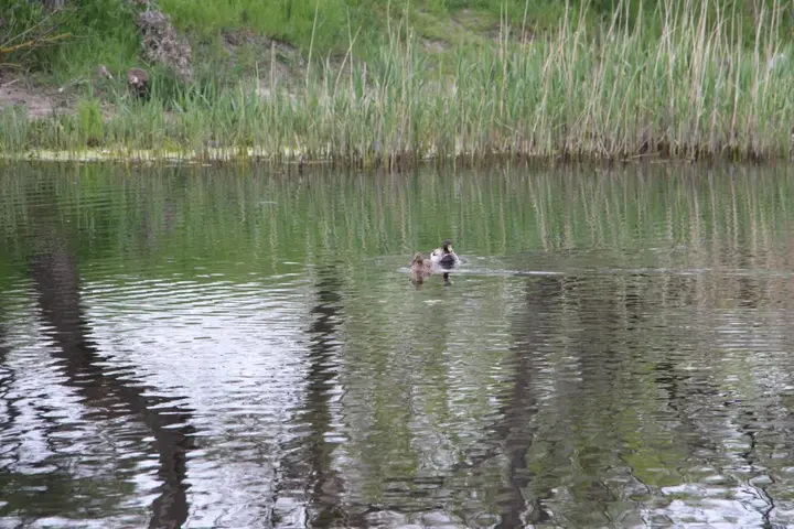 Анапа: Мотель "Катамаран"