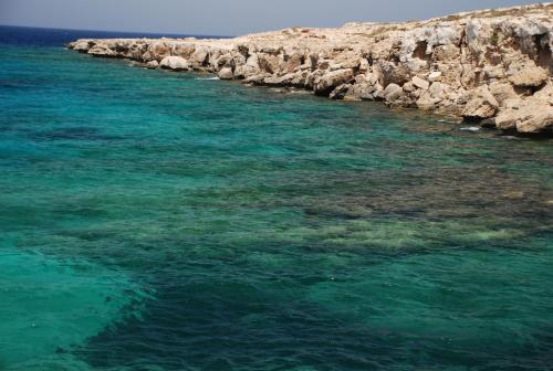 Ороклини: Cyprus Dream Holiday