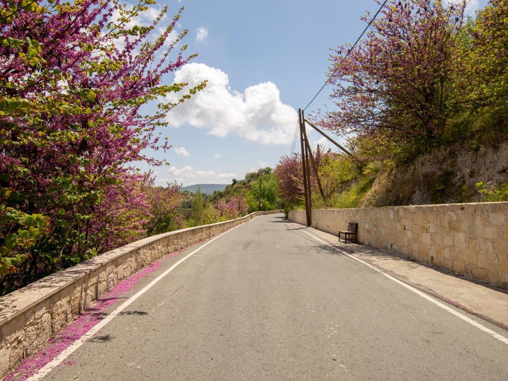 To Chorio — фото 4