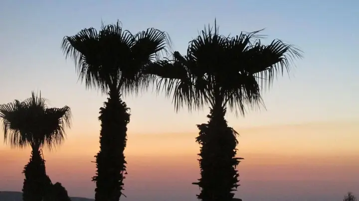 Лимассол: Pigeon Beach Hotel Apartments
