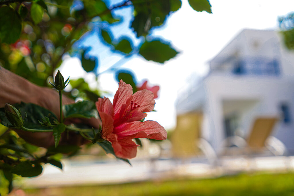 Azzurro Luxury Holiday Villas — фото 1