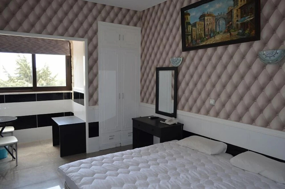 Ларнака: Vergi City Hotel