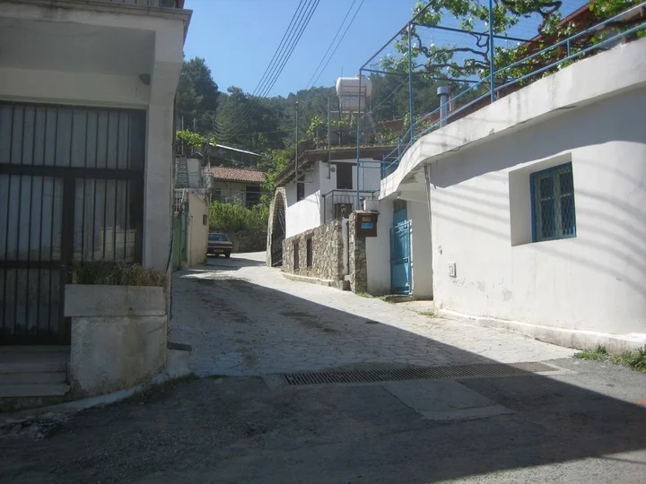 Какопетрия: Antigones House