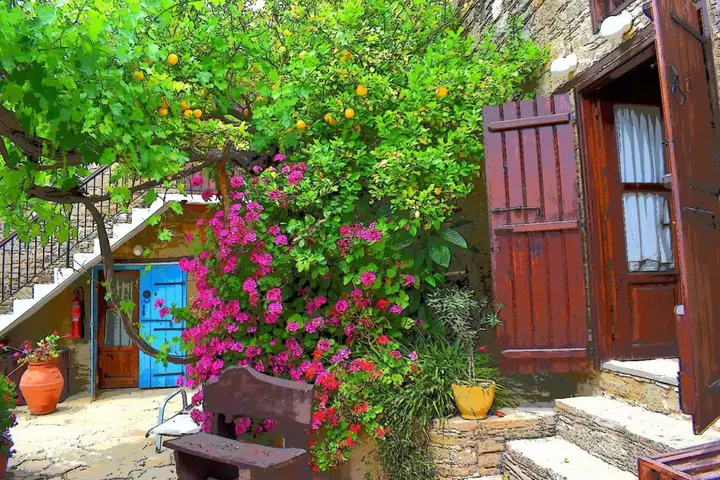 Точни: Vasilopoulos House