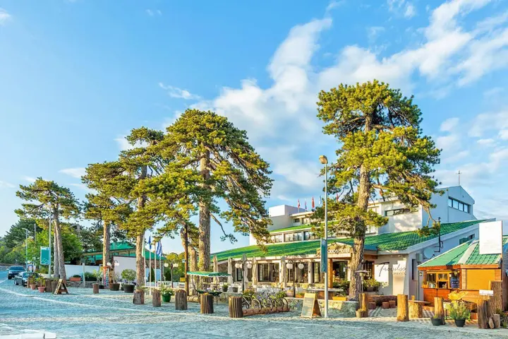 Троодос: Troodos Hotel