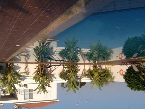 Паралимни: Sweet Holidays Apartment