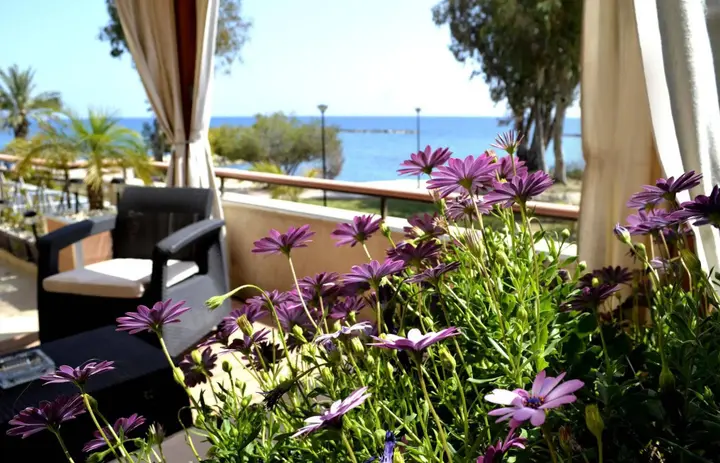 Гермасойя: Darlex Apartments Galatex Beach Center