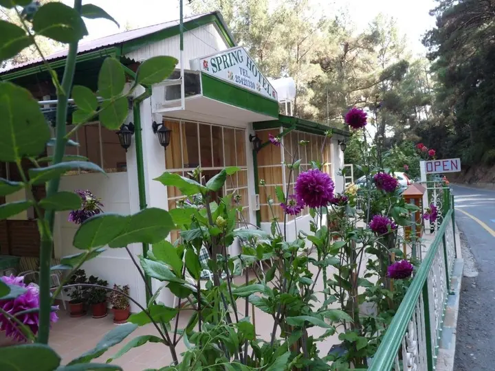 Платрес: Spring Hotel