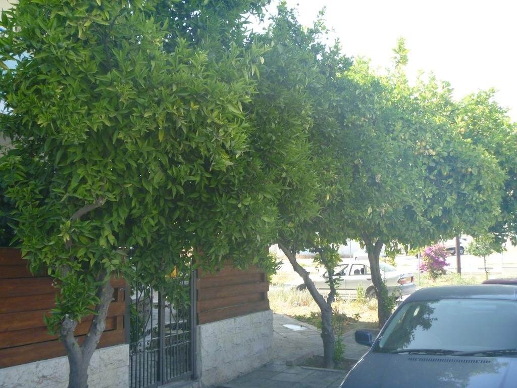 Larnaca City — фото 1