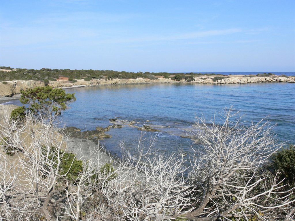 Нео Хорио: Tavros Hotel