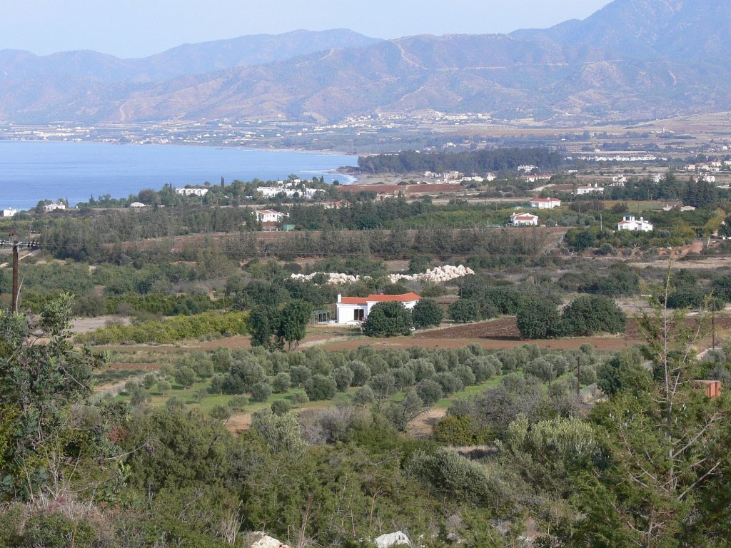 Нео Хорио: Tavros Hotel