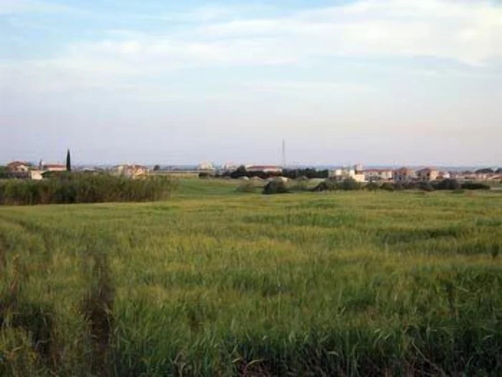 Ларнака: Pyla View Villas, Larnaca