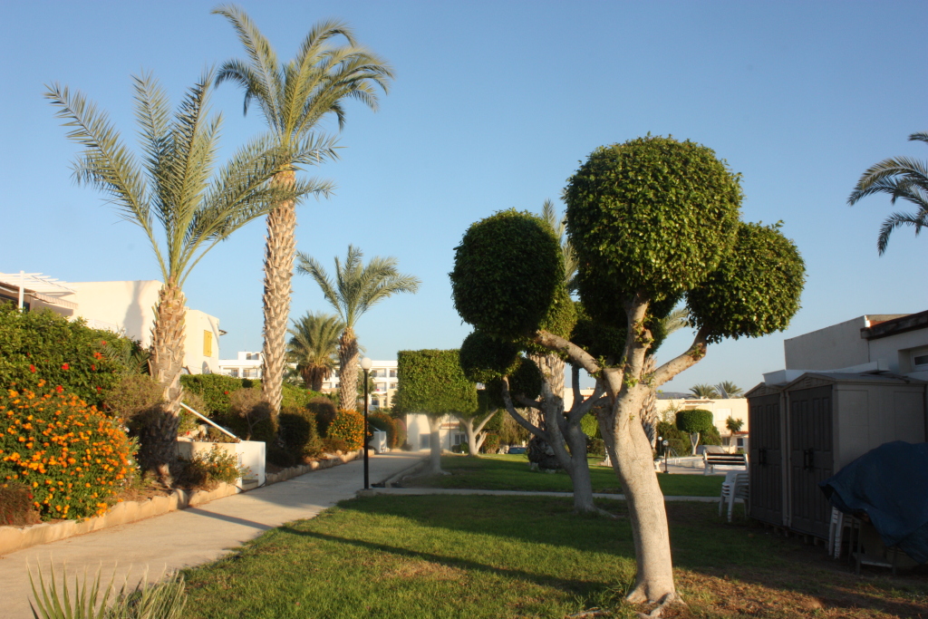 Пейя: Апартаменты Green Oasis Beach