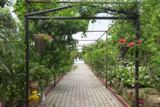 Алсанджак: Lapida Garden Hotel