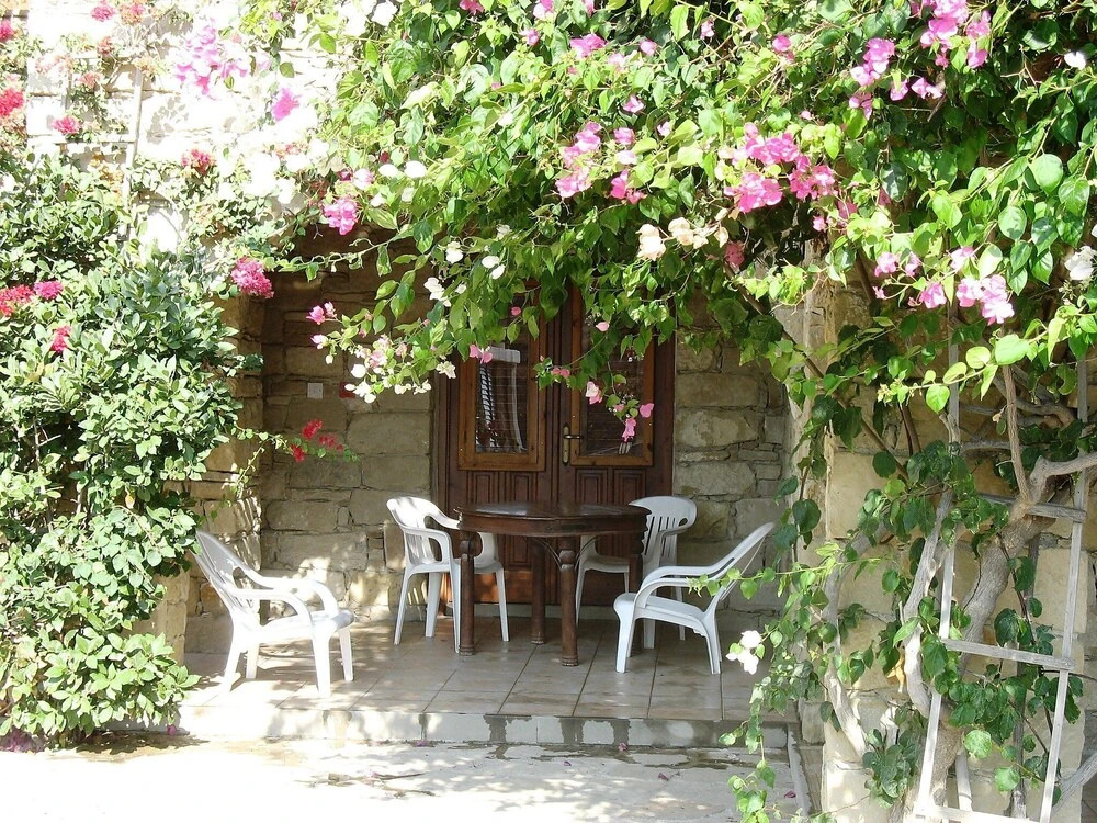 Точни: Adamos House