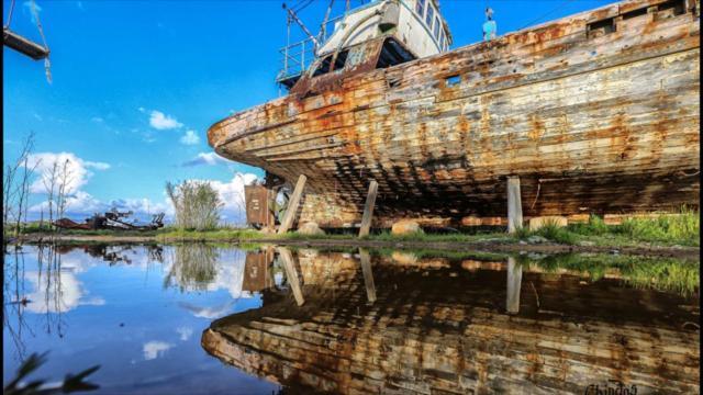 Полис Хрисохус: Harmonia Blue