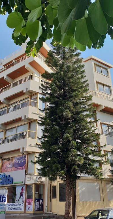 Никосия: NEX Hostel
