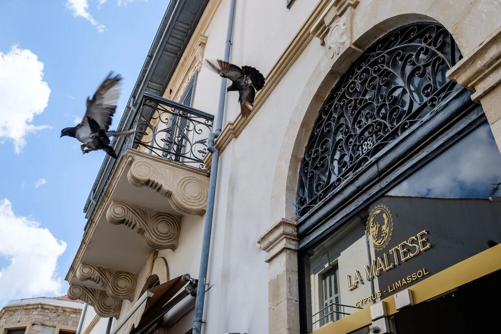 Лимассол: La Maltese Mansion Limassol
