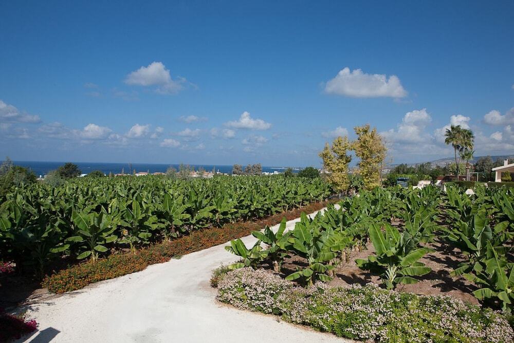 Киссонерга: Banana Cyprus Villas
