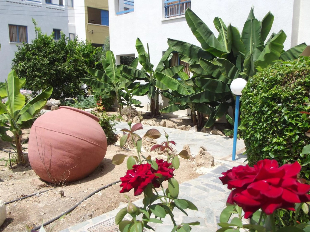 Пафос: Kefalonitis Apartments