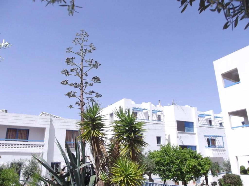 Пафос: Kefalonitis Apartments