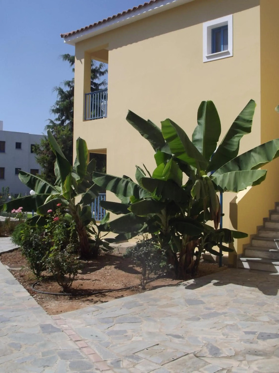 Пафос: Kefalonitis Apartments