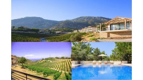 Алсанджак: Gillham Vineyard Hotel - Adults Only