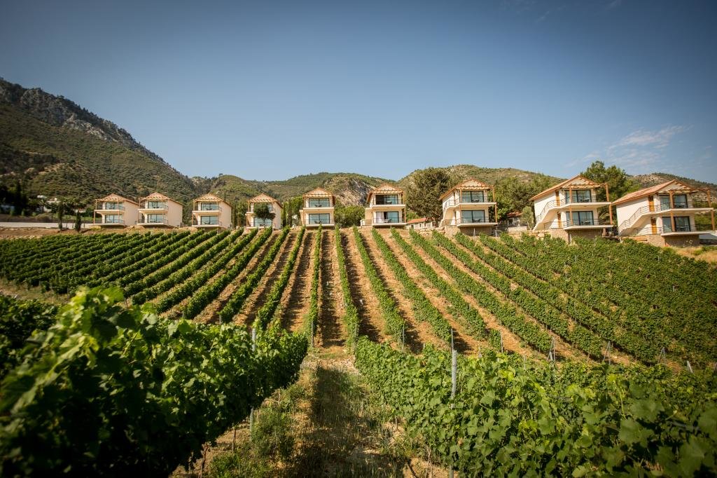 Алсанджак: Gillham Vineyard Hotel - Adults Only