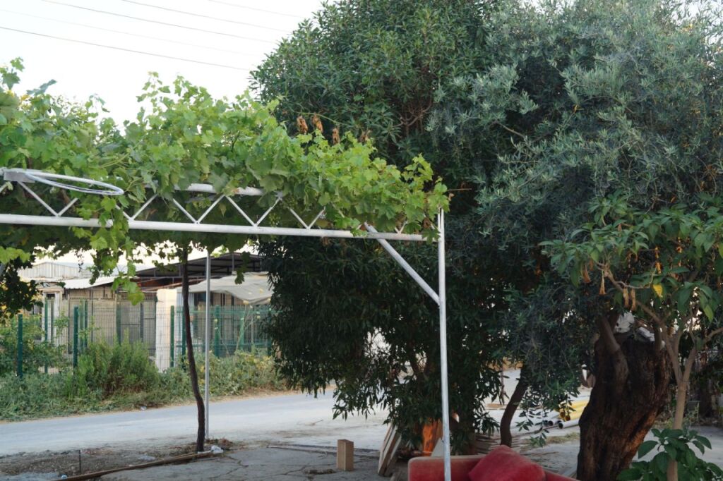Озанкей: Мини-Отель Sun Rays Kyrenia