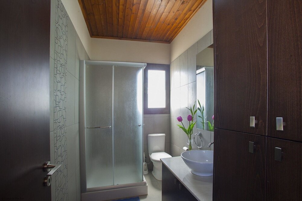 Протарас: Cyprus Villa Raph Platinum