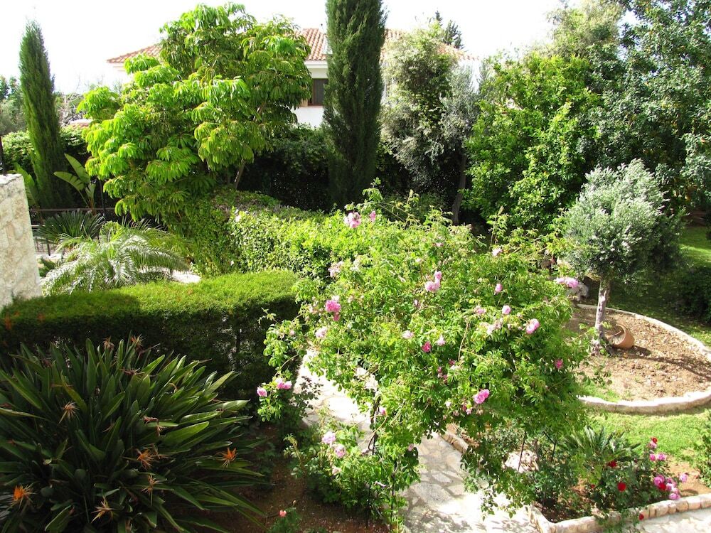 Полис Хрисохус: Webooking Konstantinos Villa