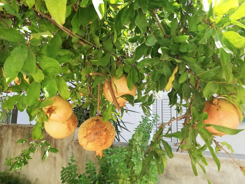 Лимассол: Limassol Home 1