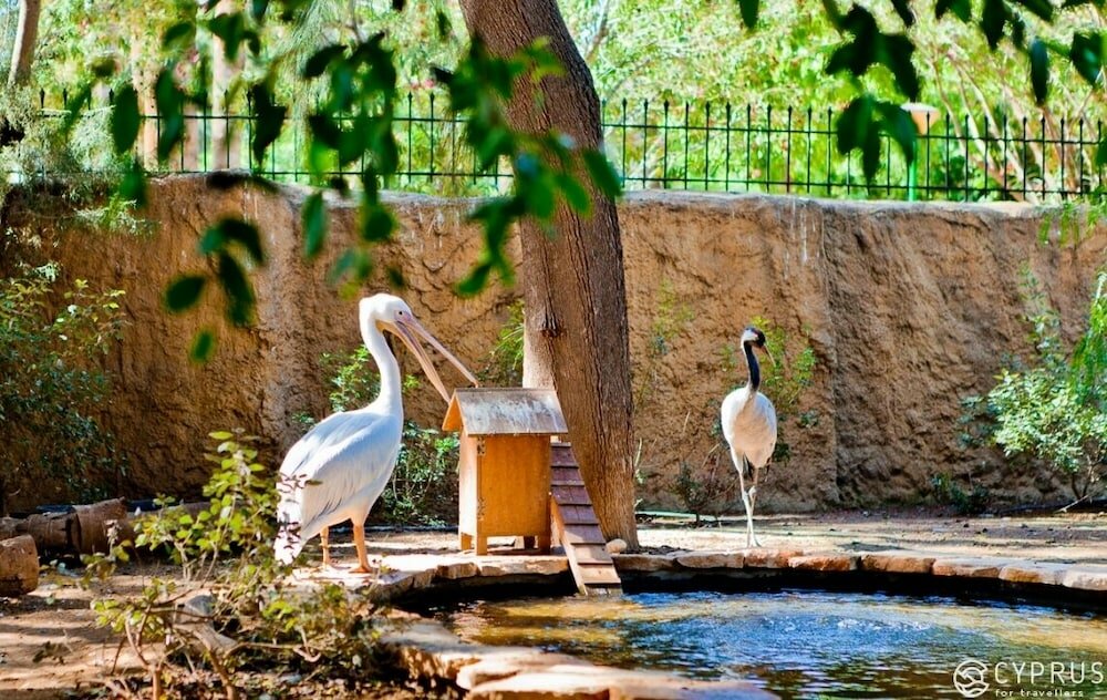 Лимассол: Limassol Home 1
