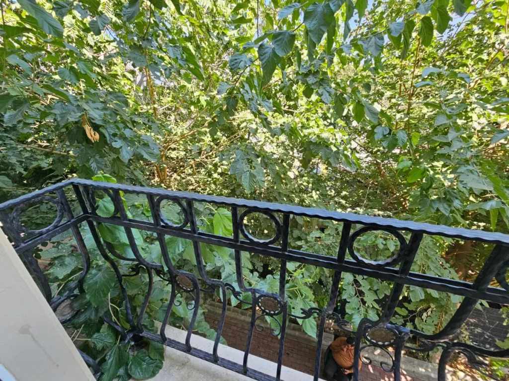 Кирения: Park Palace Hotel
