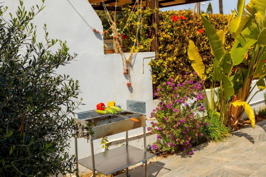 Протарас: Fig Tree Bay Villa 3