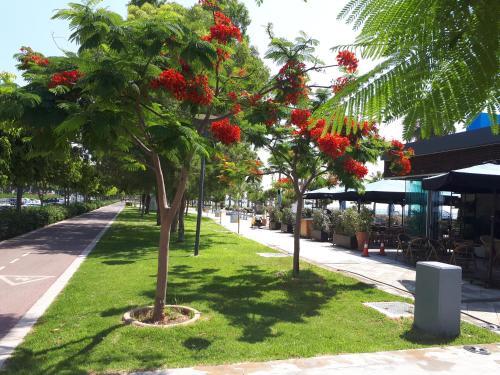 Лимассол: Sea Front & City Center, Amazing Sea View